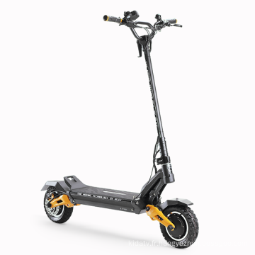 Citycoco E Scooter 1200W Road Electric Scooter